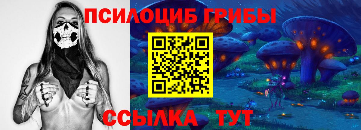 наркошоп  Галлюциногенные грибы прущие грибы  Нижний Тагил  Вход с VPN  Псилоцибиновые грибы прущие грибы 
